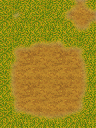 森林—山路.png
