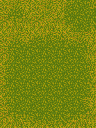 森林—阴影.png