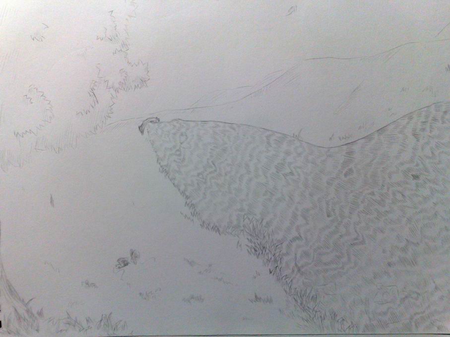 调整大小 旋转 20101106183.jpg