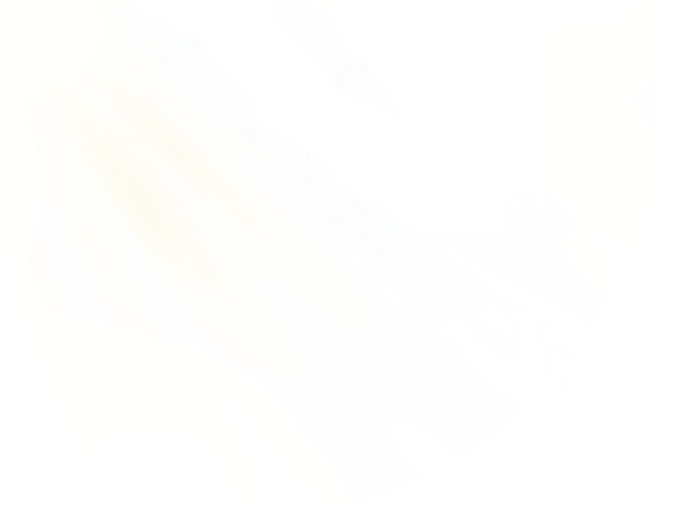 阳光1.png