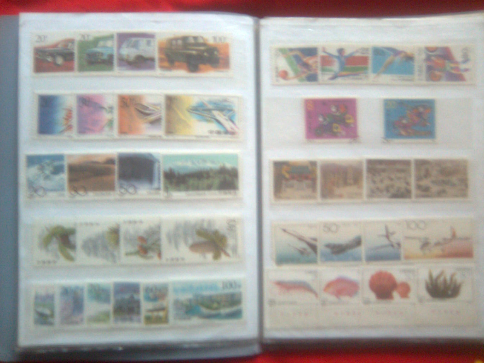 图像022.jpg