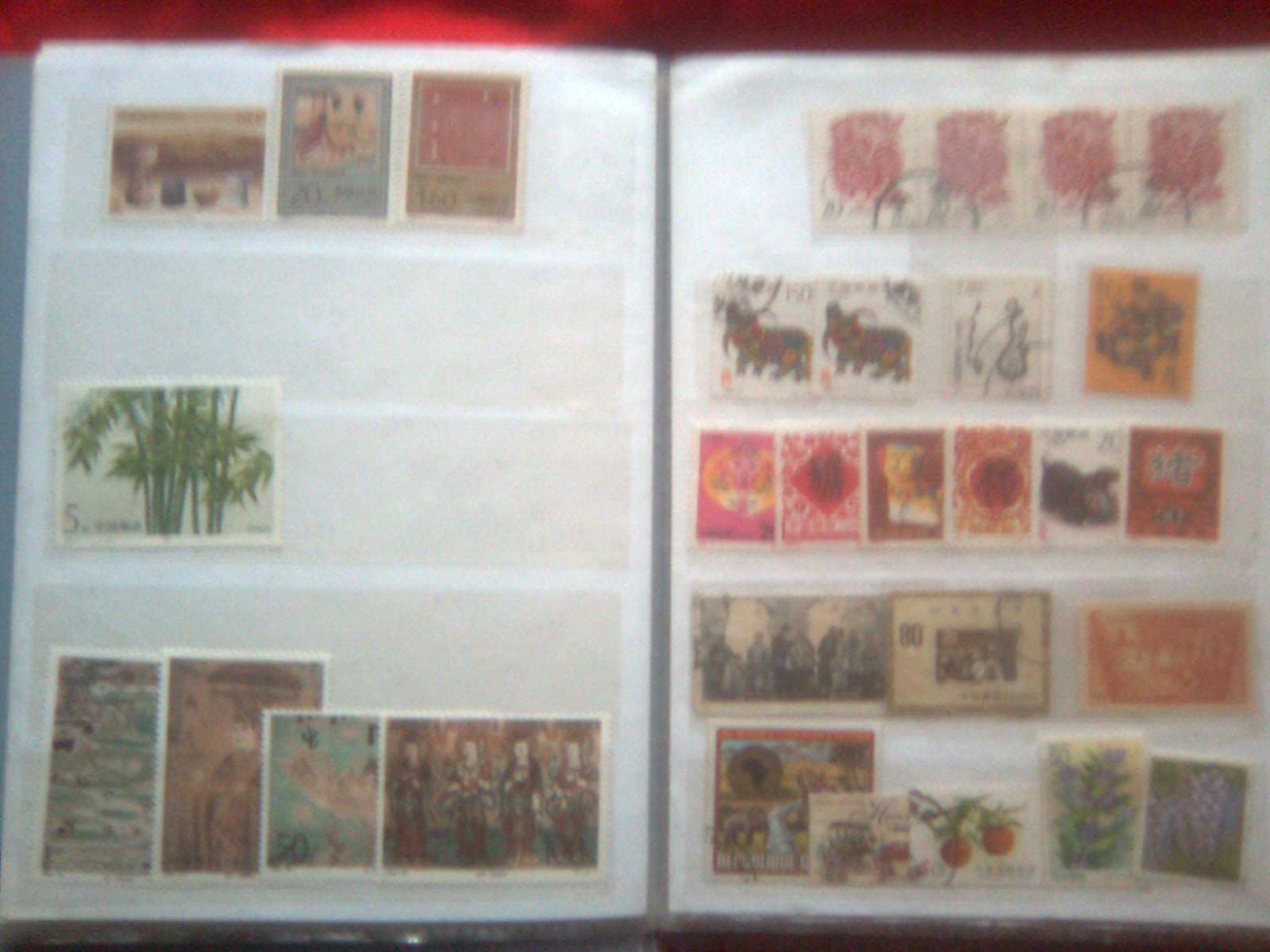 图像024.jpg