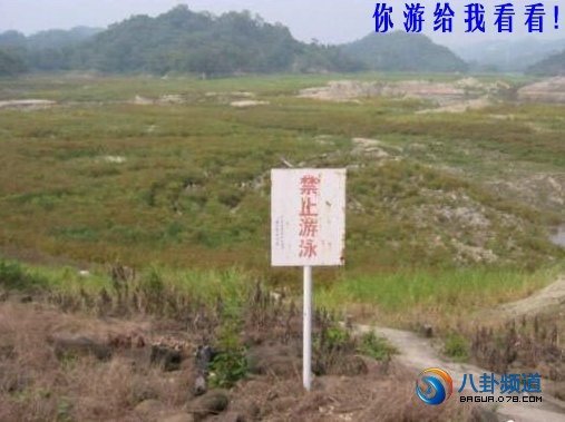 你游给我看.jpg