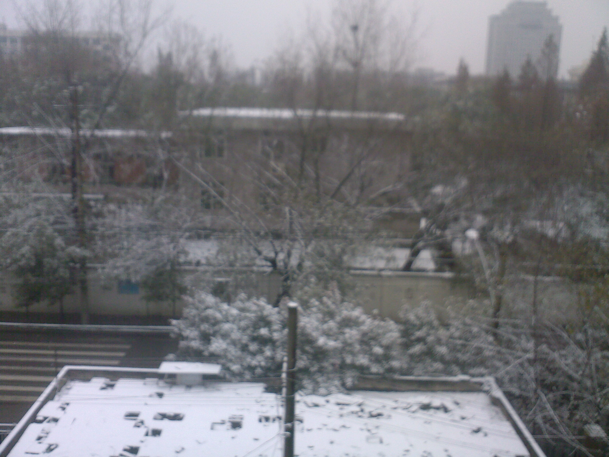 2010年12月雪景.jpg