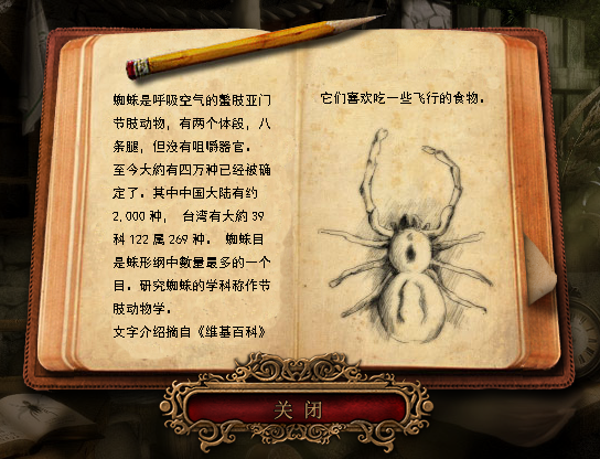 蜘蛛笔记.png