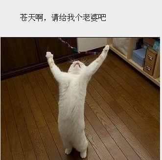 61.jpg