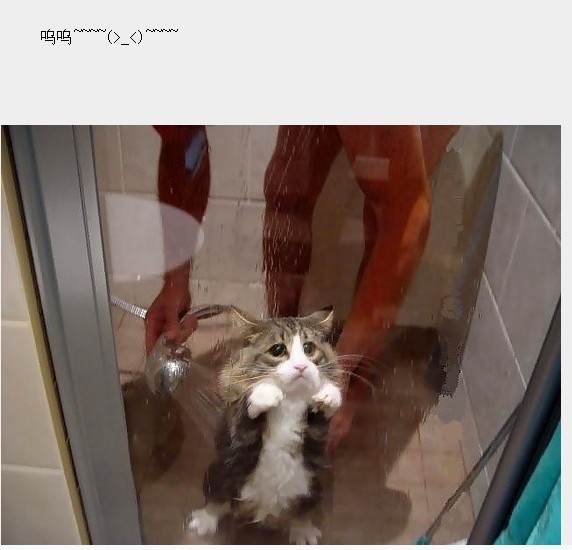 78.jpg
