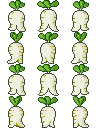 robb.png
