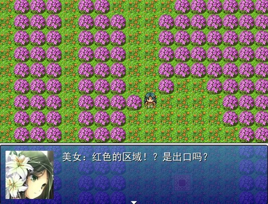D.jpg