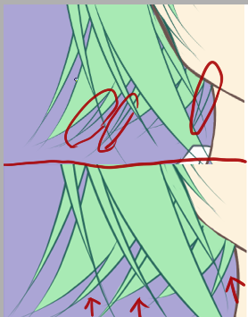 对比.PNG