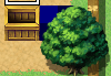 4.PNG