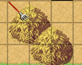 6.PNG