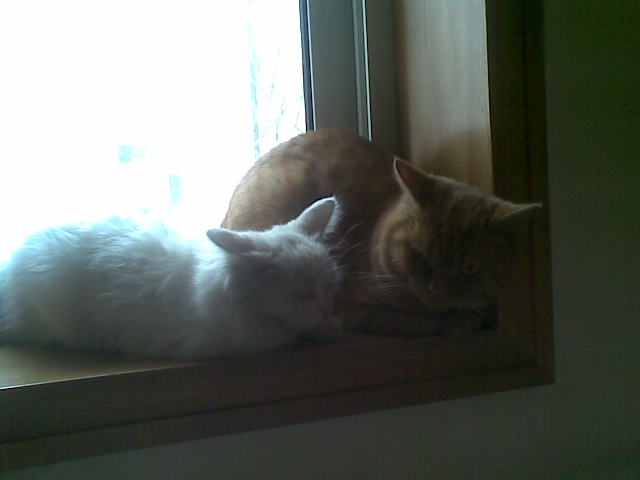 20100628.jpg