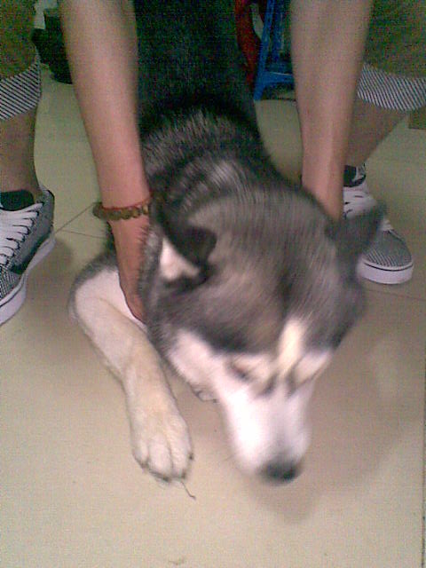 20100718.jpg