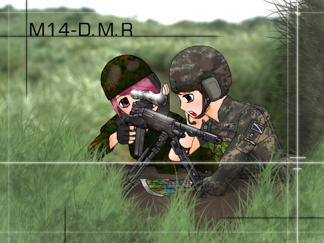 M14.png