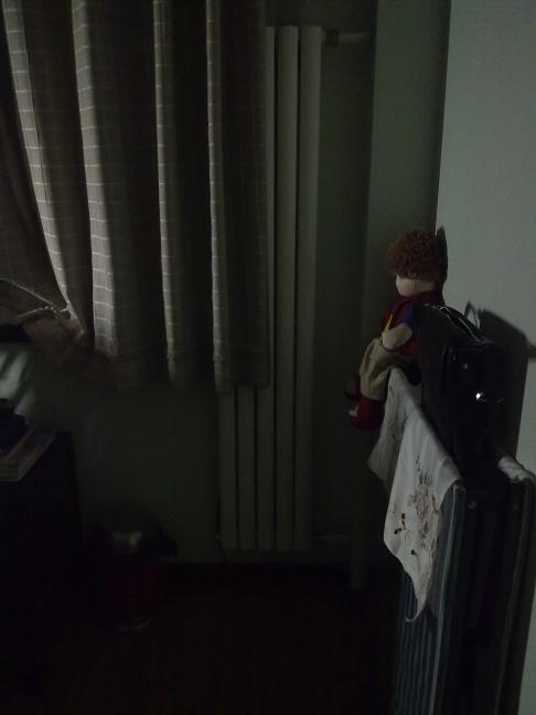 20110313480.jpg