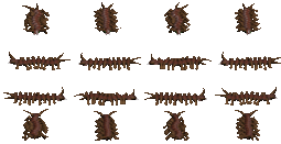 蜈蚣.png
