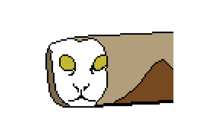 333.jpg