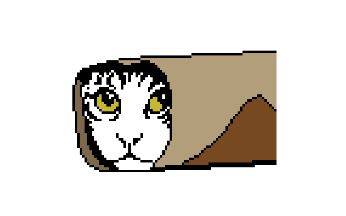 444.jpg