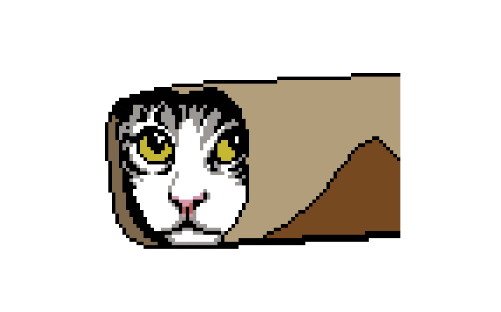 555.jpg
