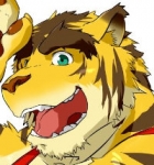 11_avatar_middle.jpg