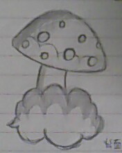 IMG0019A.jpg