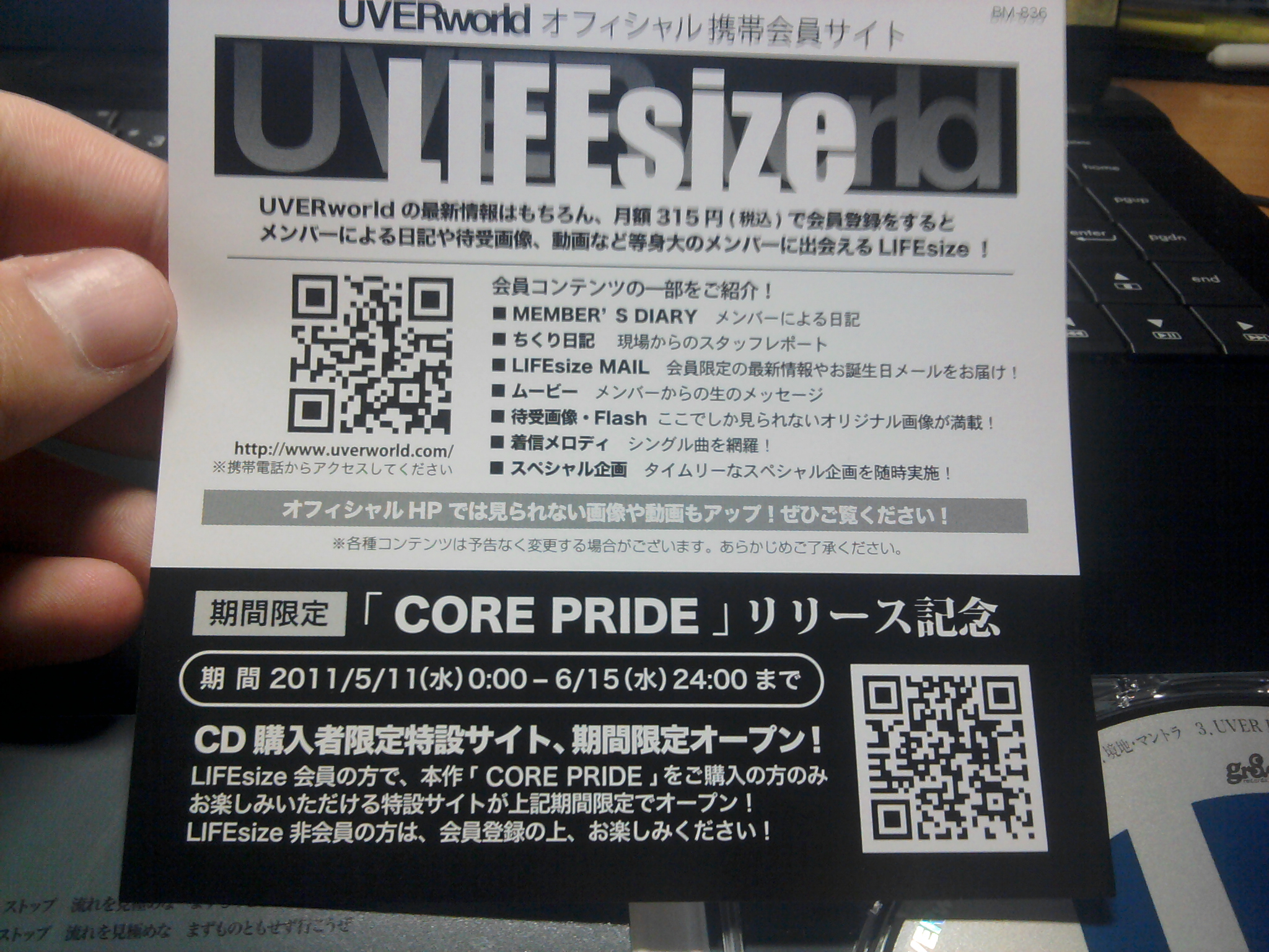 IMG_20110723_160205.jpg