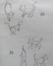 IMG0029A.jpg