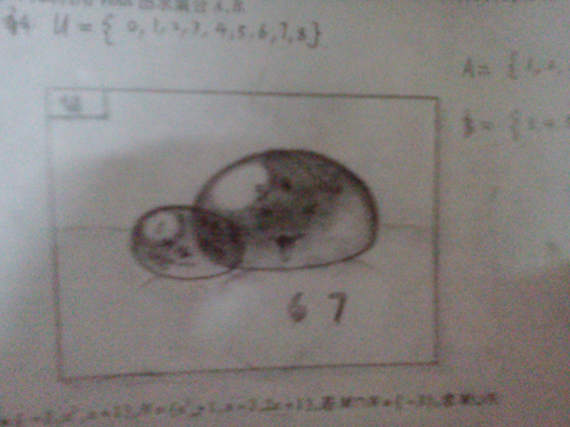 P01-08-11_19.47.JPG