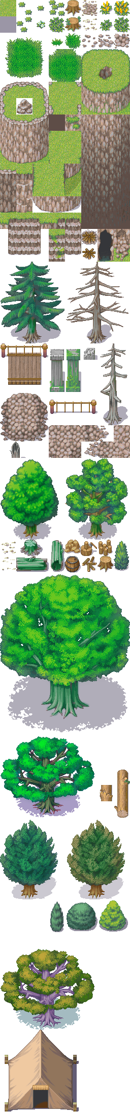 New Forest.png