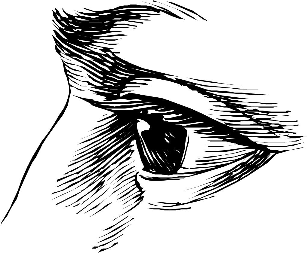 3c41c810b5d4f371dc5401a3.jpg