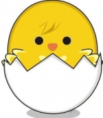 小黄鸡.jpg