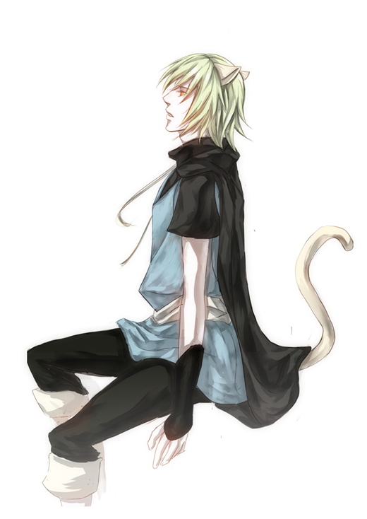 柯诺尔 SS.jpg