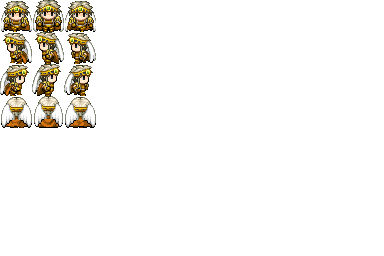 黄金圣骑士2.png