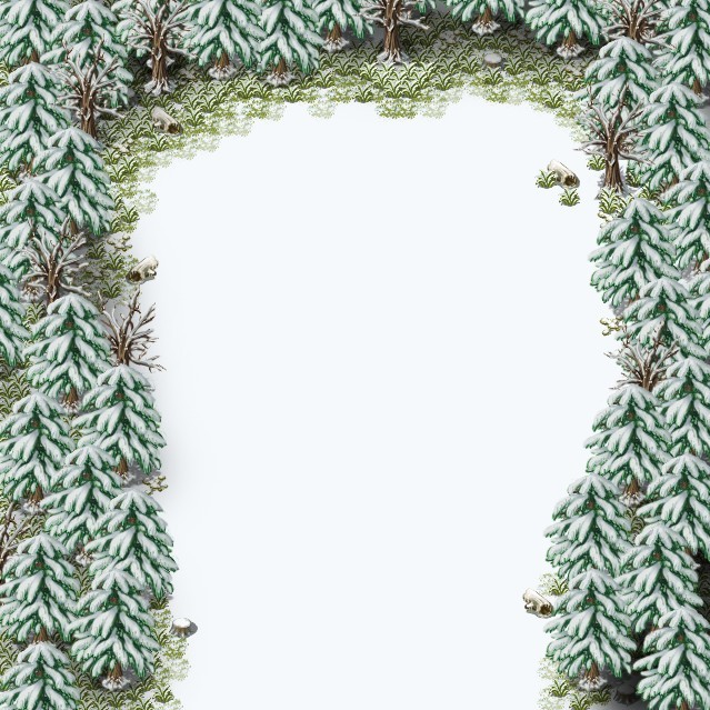 5.jpg