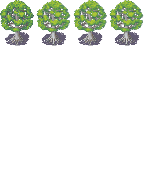 河边树木.png