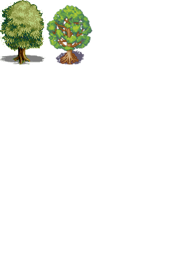 树木.png