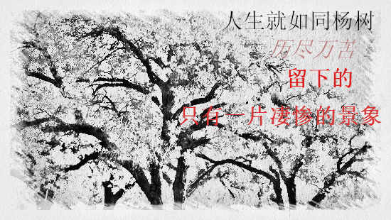 签名档.jpg