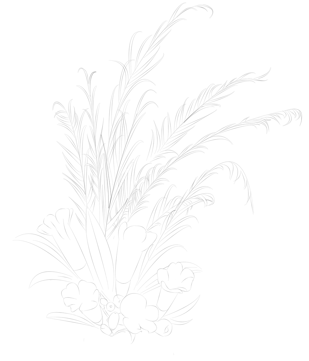 背景线稿.gif