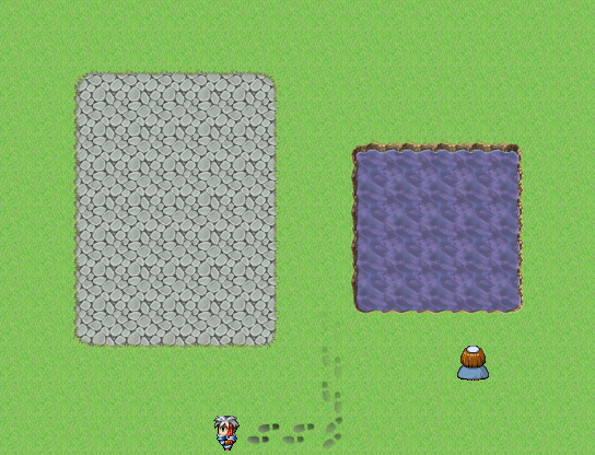 footprint.png