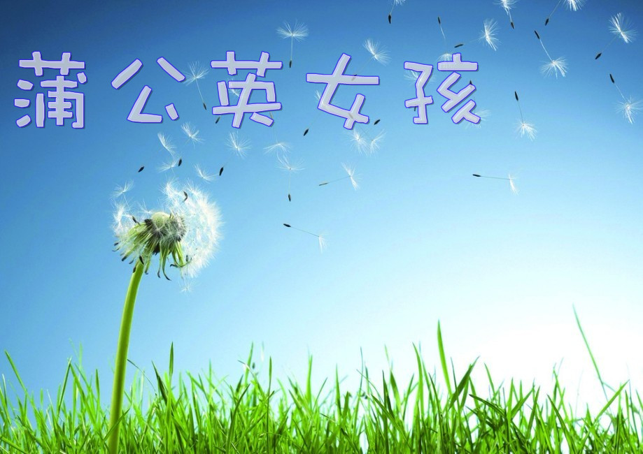 蒲公英.jpg