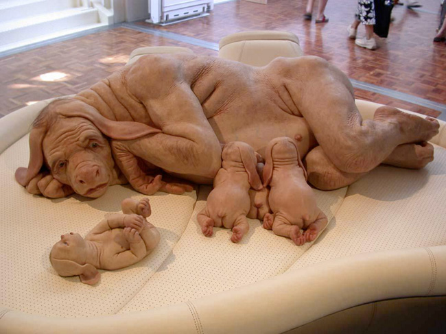 猿狗.jpg