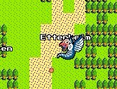 dsga.jpg