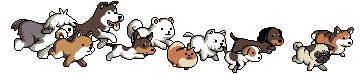 未命名.gif