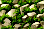 bsc_0.png