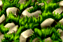 bsc_1.png