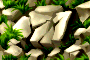 bsc_5.png