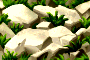 bsc_3.png