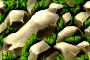 bsc_4.png