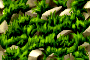 bsc_7.png
